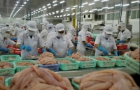 Tra fish exports continue to suffer from negative growth