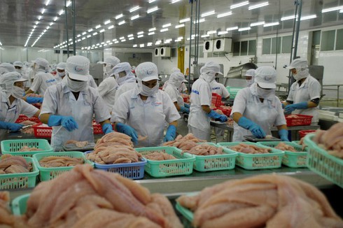 tra fish exports continue to suffer from negative growth
