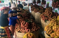 Chinese traders set to enter Vietnam to deal in lychees