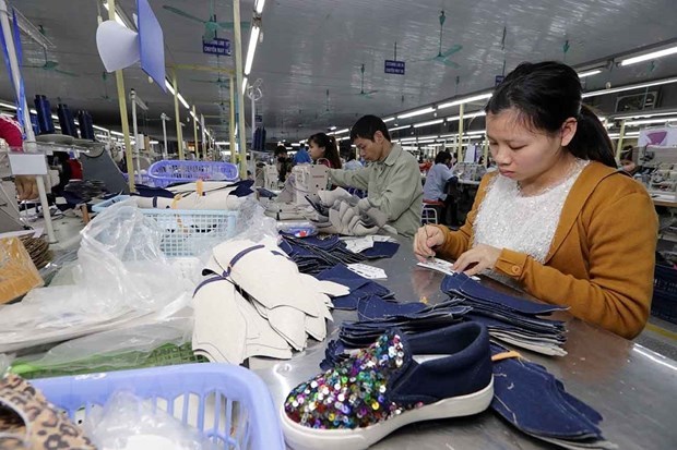 Increase in Vietnam – Belgium trade brings more opportunities for investors: Experts hinh anh 1