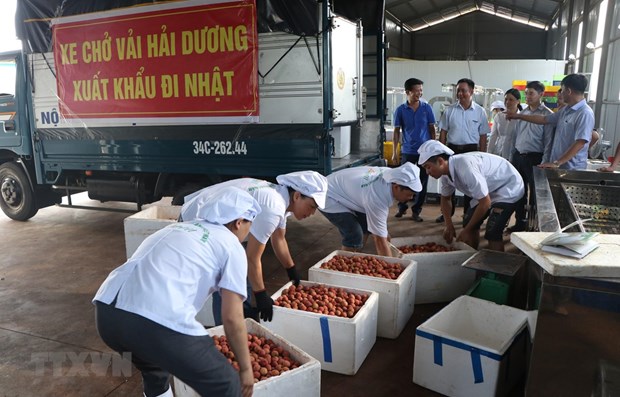 Measures put in place to bolster agricultural product exports hinh anh 1