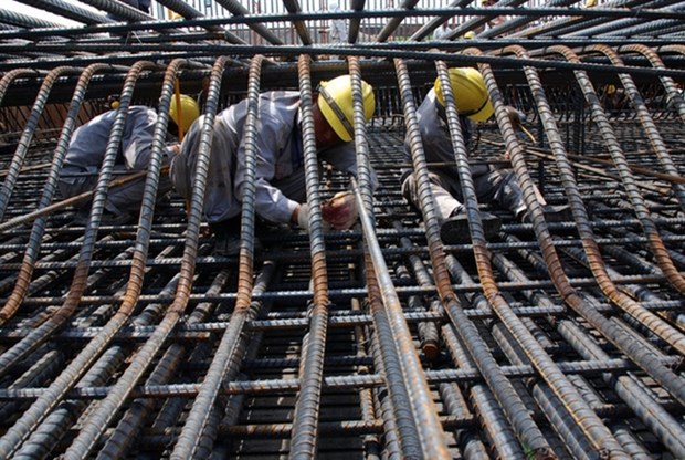 Ministry wants to support domestic steel market hinh anh 1