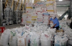 Rice exporters urged to utilise FTAs to boost declining shipments