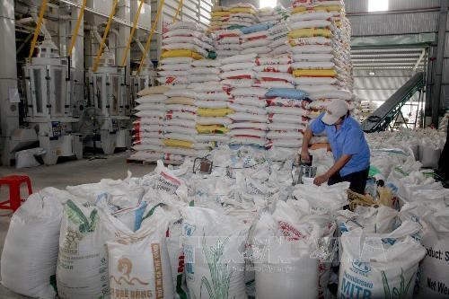 Rice exporters urged to utilise FTAs to boost declining shipments hinh anh 1