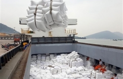 Vietnam earns 362 million USD from rice exports in April