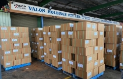 Vietnam- Australia trade revenue surges nearly 34 percent