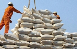 Slashed Philippine rice tariffs an opportunity for Vietnamese exporters