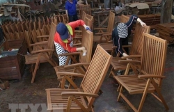 Made-in-Vietnam wooden products conquer US market