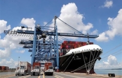 Shipping lines continue to increase fees, firms face more difficulties