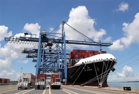 Shipping lines continue to increase fees, firms face more difficulties hinh anh 1