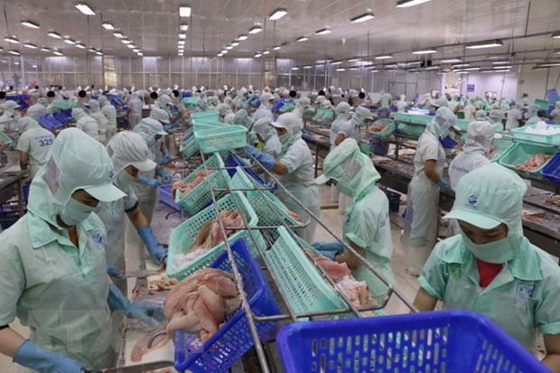 Six more pangasius processing factories eligible to export to US hinh anh 1