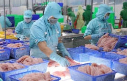 Huge haul in new markets for Việt Nam’s tra fish exports