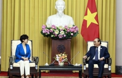 State leader receives representatives of RoK people in Vietnam
