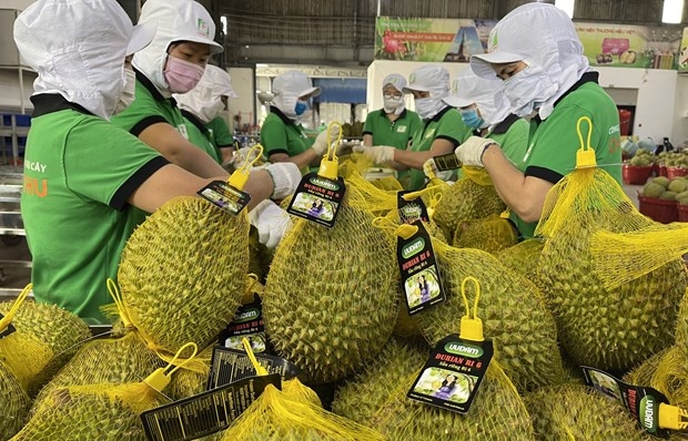 Durian exports forecast to boom