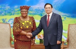Prime Minister receives WTO Director-General