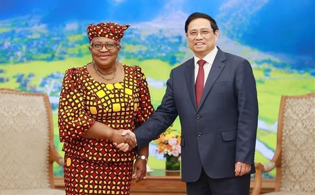 Prime Minister receives WTO Director-General hinh anh 1