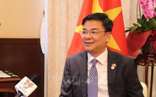 Vietnam wishes to contribute more to the future of Asia: Ambassador hinh anh 1
