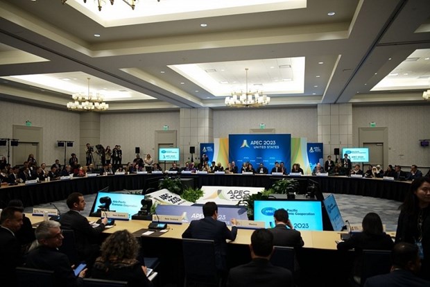 APEC should work for WTO's better performance: Minister hinh anh 1