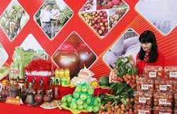Bac Giang helps farmers sell products on digital platforms
