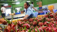 Knocking down EU-Vietnam fruit and veggie trade barriers