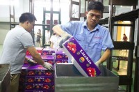 lang son customs work 2424 to support lychee exports