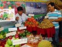 Vietnam’s food industry seeks to build brand