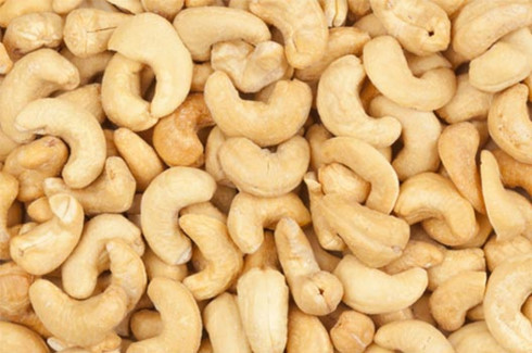 cashew nut segment lowers expectations for export growth