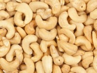 Cashew nut segment lowers expectations for export growth