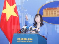 Vietnam wants to develop friendship with RoK: FM’s spokesperson