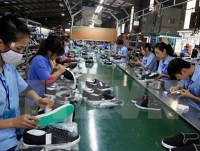 Leather and footwear sector imports 60% of materials