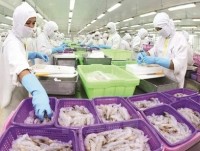 seafood exports to many european markets gained a good growth