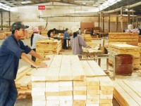 Wood exports hit US$3.3 billion in 5 months