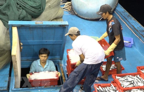 ecs yellow card warning big chance for fisheries sectors restructuring