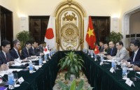 Vietnam, Japan hold seventh Strategic Partnership Dialogue