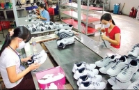 US becomes largest Vietnamese export market over five-month period
