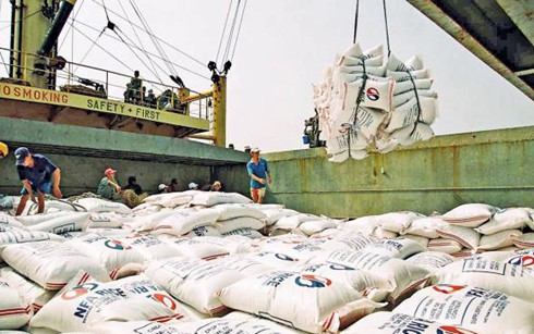 rice exports to eu anticipated to make breakthroughs through evfta