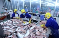 Seafood sector urged to diversify products