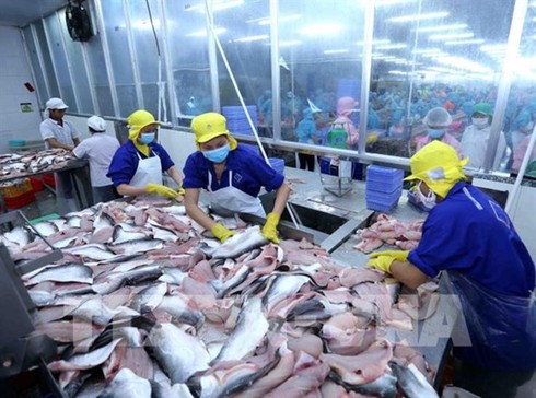 seafood sector urged to diversify products