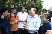 PM Phuc optimistic on prospect of lychee exports to major markets