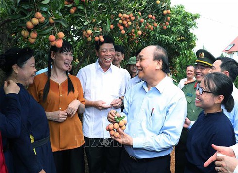 pm phuc optimistic on prospect of lychee exports to major markets