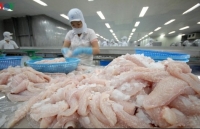 Trade promotion helps boost pangasius consumption