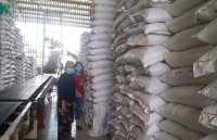 Rice export price begins to decline following record high