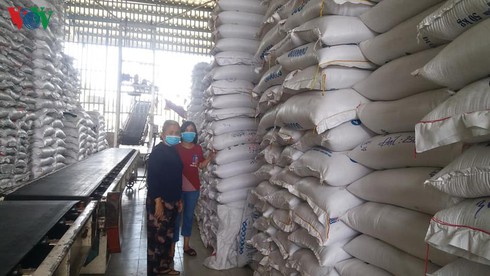 rice export price begins to decline following record high