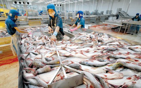 tra fish exports to eu see a sharp fall due to covid 19