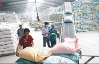 Vietnam could become leading global rice exporter this year