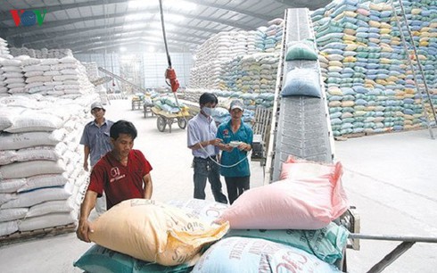 vietnam could become leading global rice exporter this year