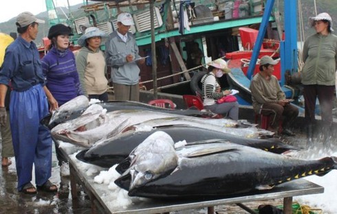 eu to exempt import duties on vietnamese tuna