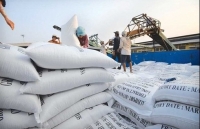 Rice export price lowest in two months