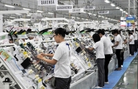 enterprises expect to increase pangasius export in asean market