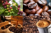 Huge potential for Vietnamese coffee exports to North Africa market